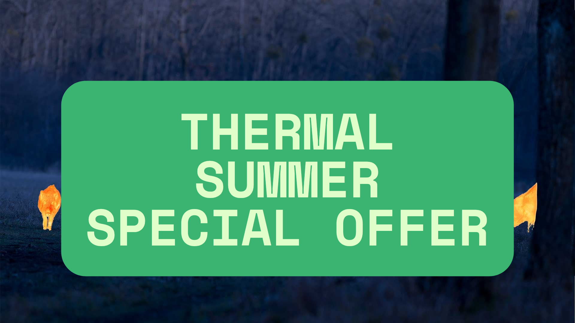Awesome Summer Offer on Thermal  (2)